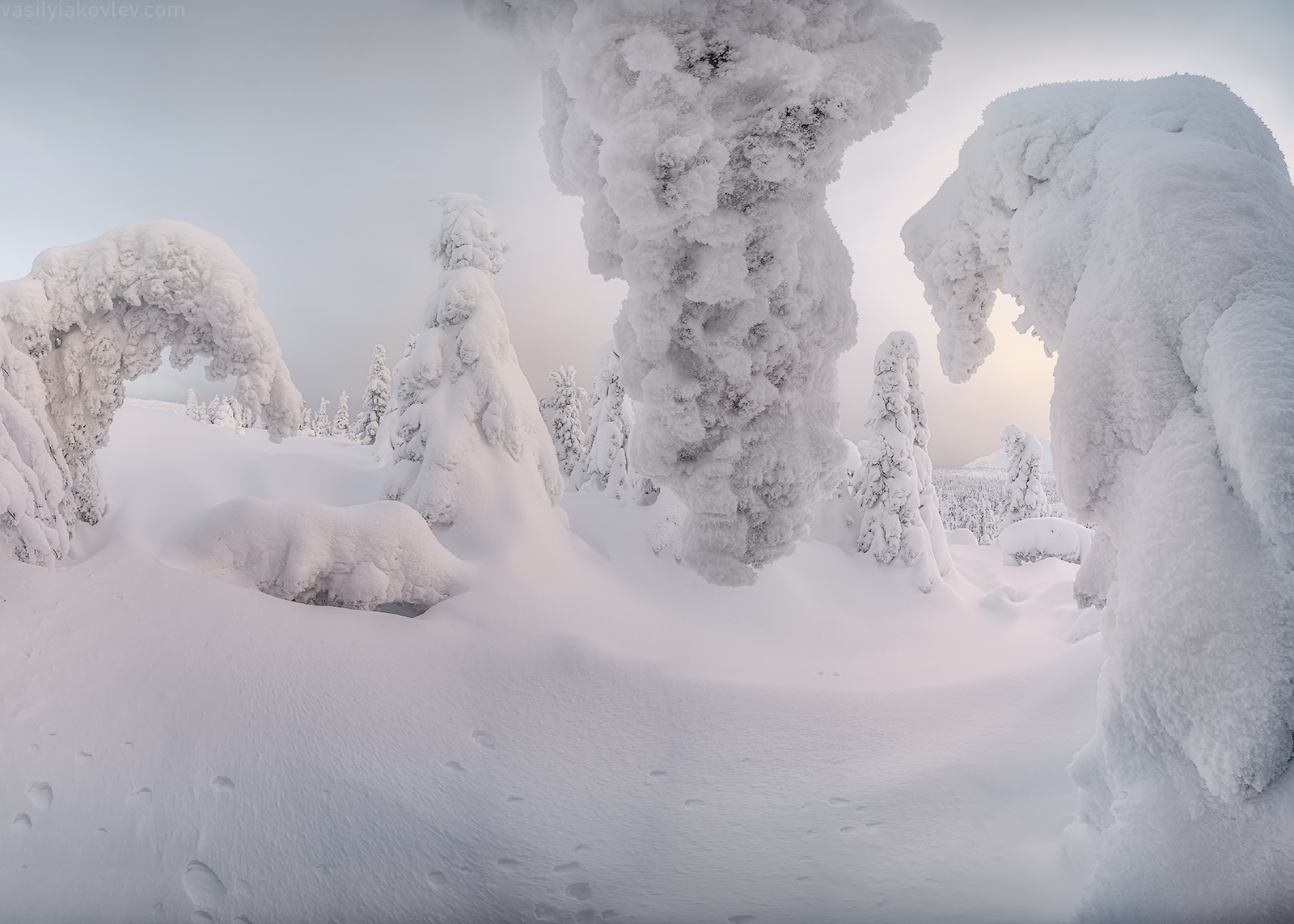 Обитатели Главного Уральского Хребта гух фототур яковлевфототур