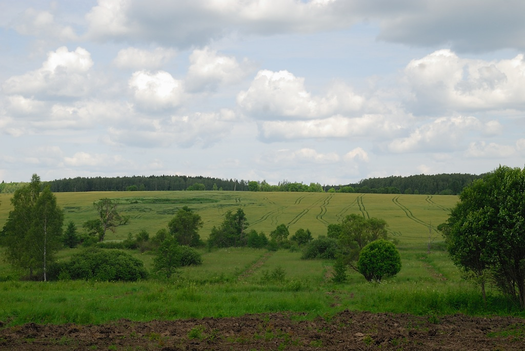 Дорожки поле дорожки