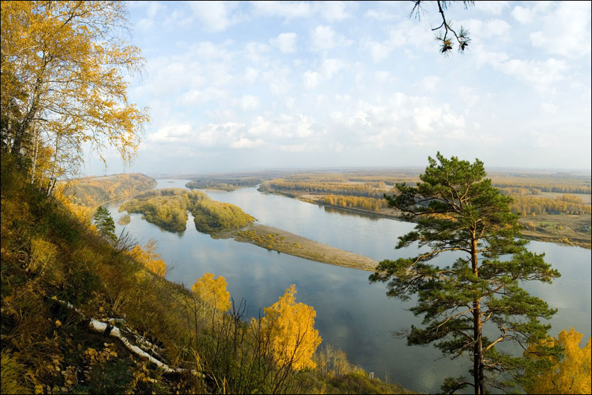 Сибирские просторы берег реки Томь