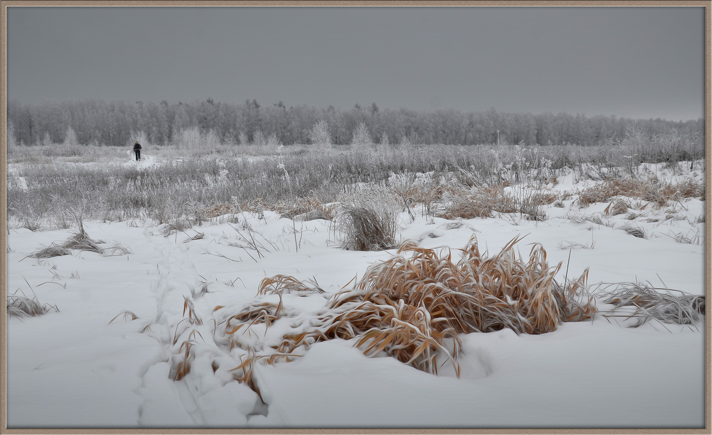 Первая лыжня поле лыжня трава