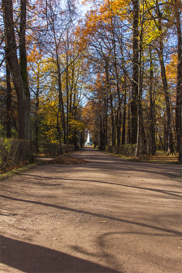 Прогулка в парке 