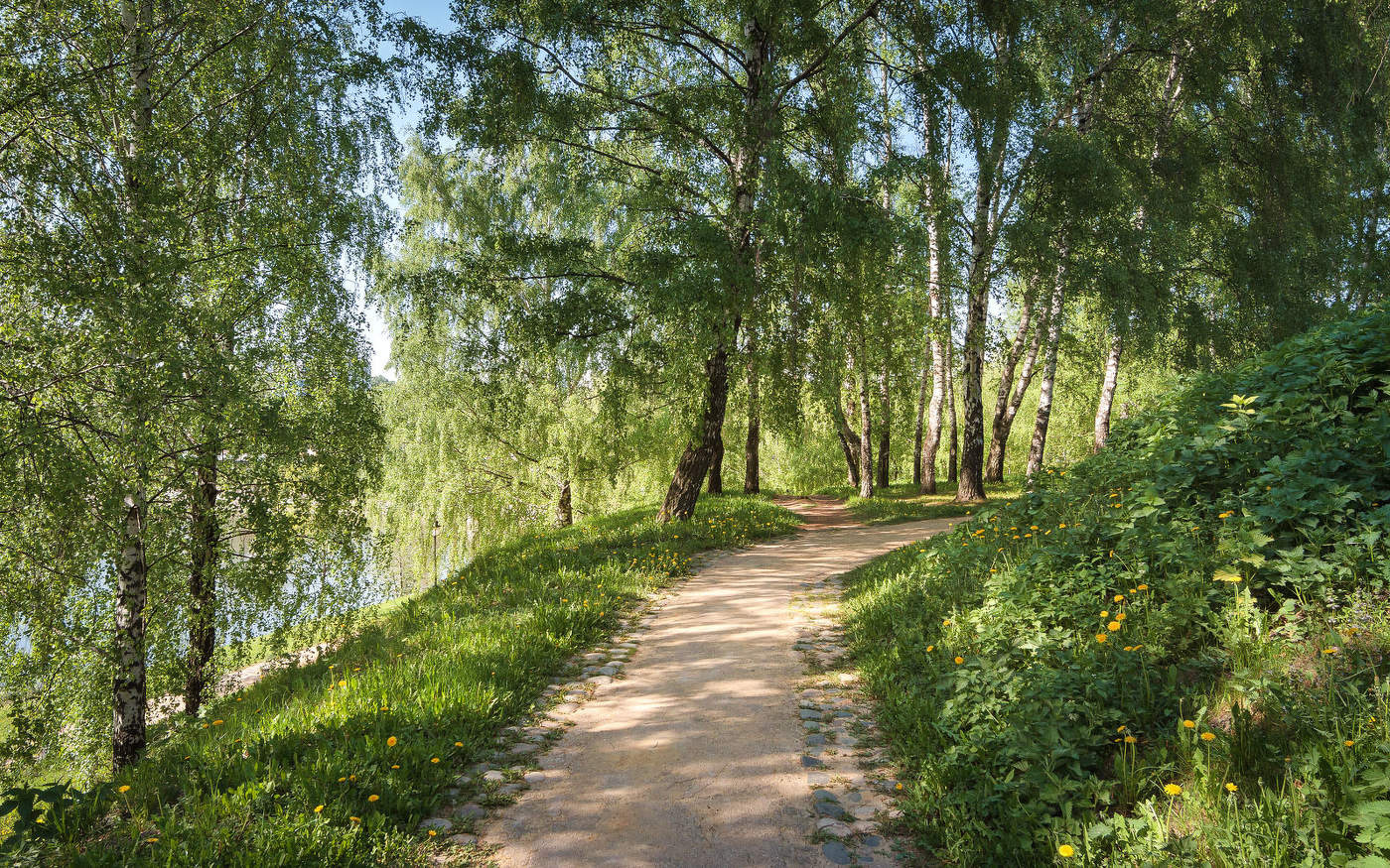 В весеннем парке... Парк весна