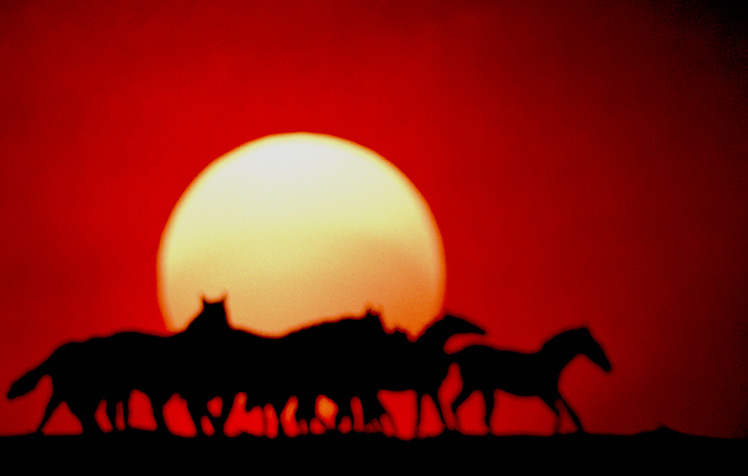 Wild Horses Sunset лошади пейзаж солнце закат