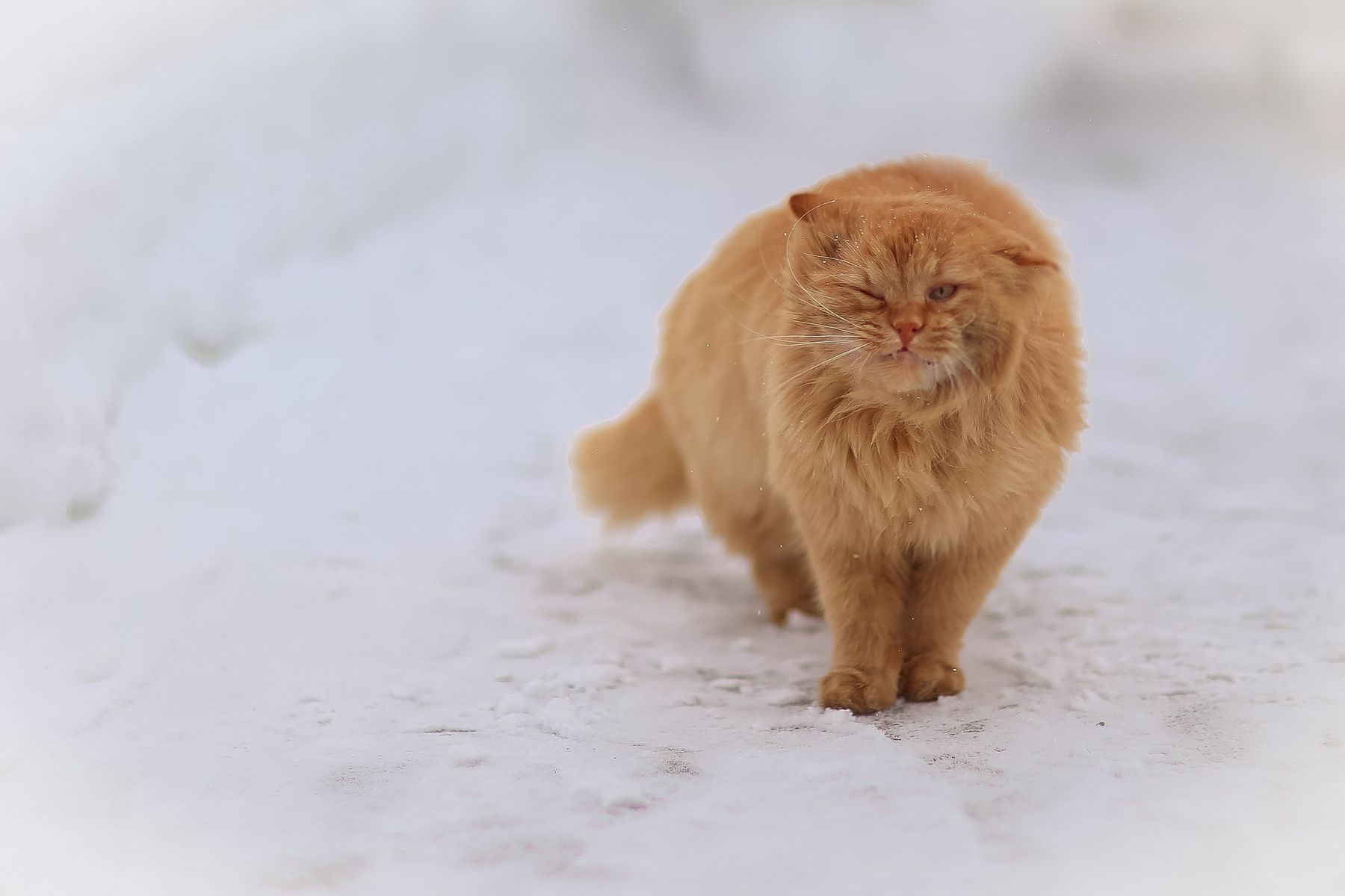 Ты долго будешь прицеливаться? 