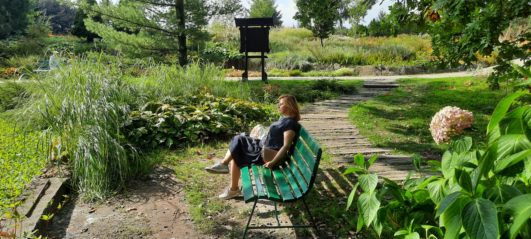 Красотка на скамейке Женщина