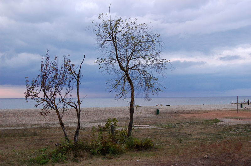  у моря перед дождем 