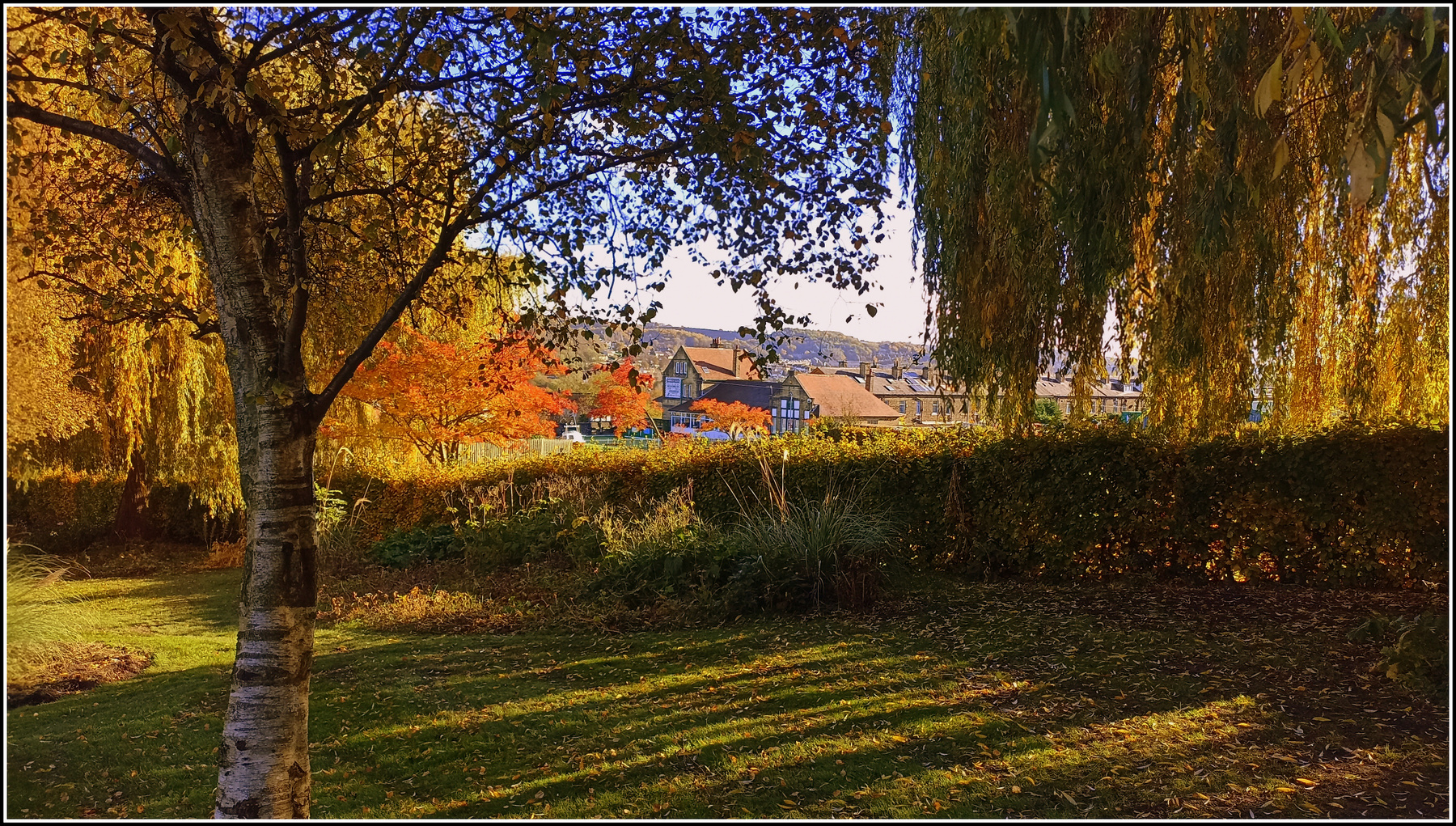 ,,, northcliffe park bradford uk nov 2023