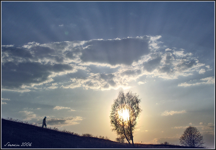 I ll Follow The Sun солнце дерево лучи битлз beatles природа мальчик следует бежит косогор закат