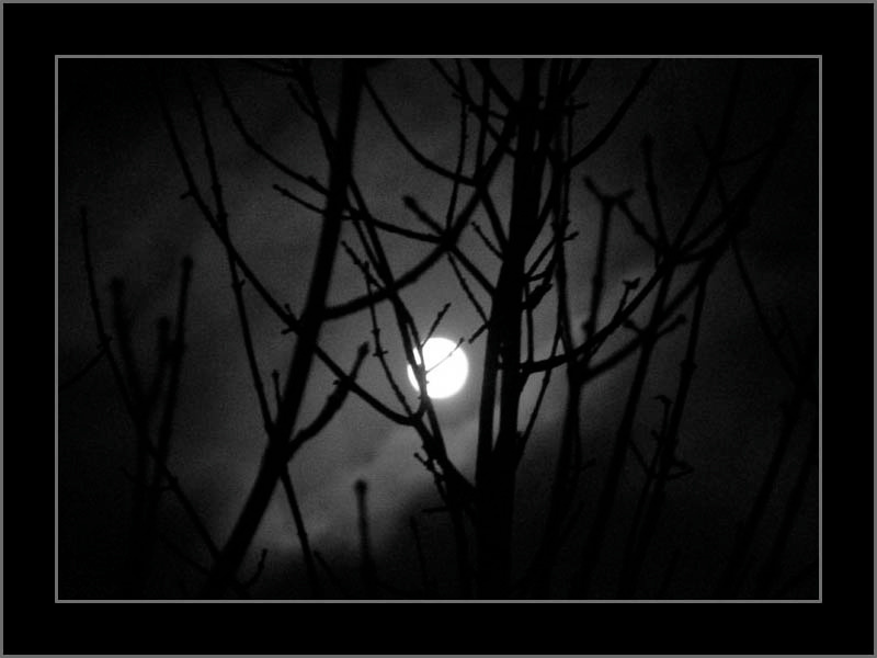 NIGHT darck night mind window fly