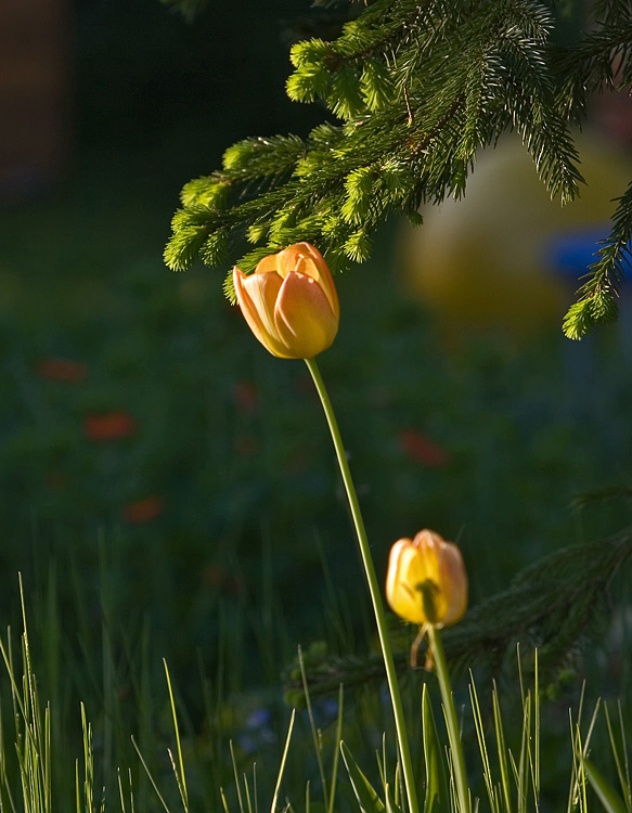 встретились 