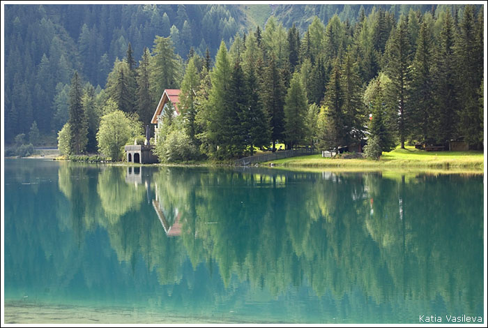Antholzer See озеро лес