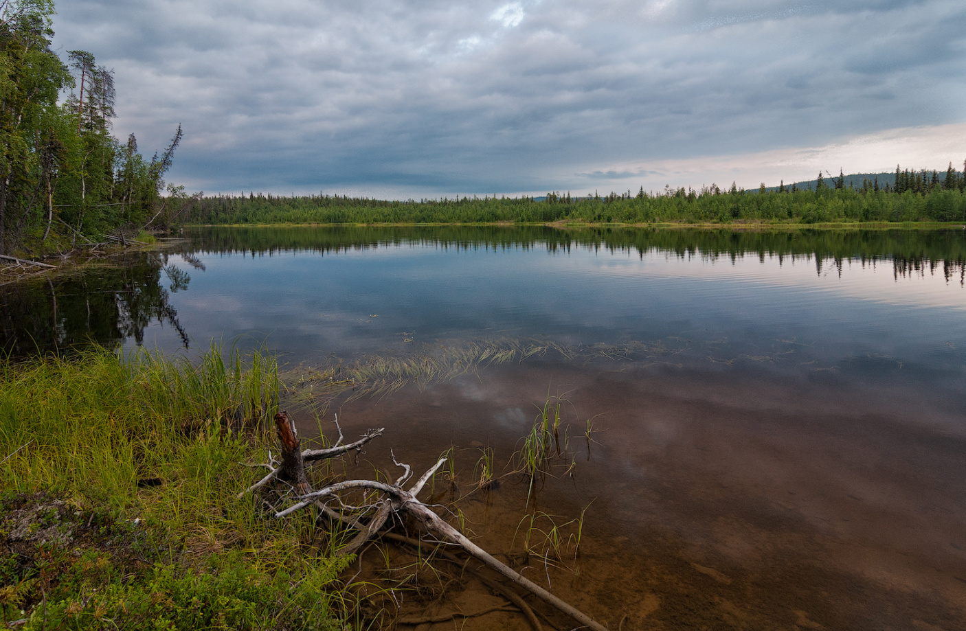 *** пейзаж, природа, река, вода, озеро, лес