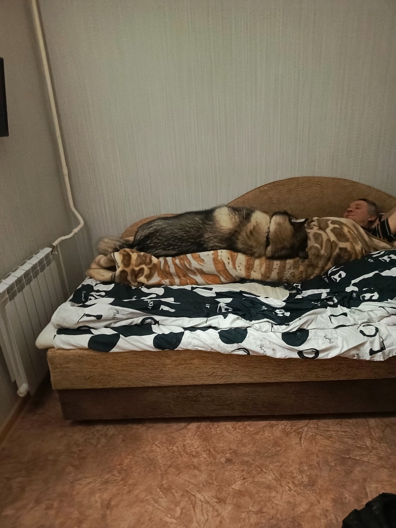 Убоюкал папу 