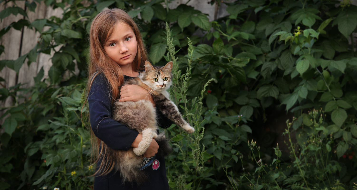 Уйду с котом в страну чудес. 