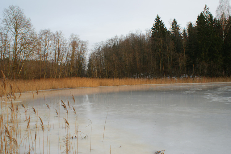 Контраст пейзаж, литва, 2013