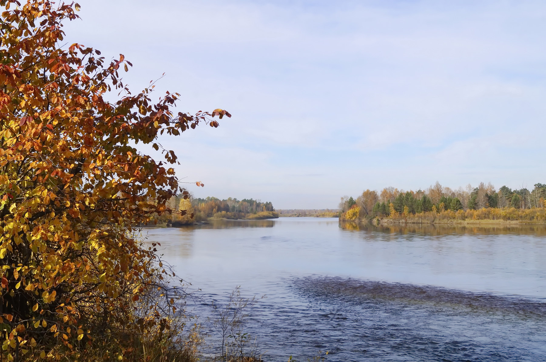 Осенние зарисовки осень лес река листья