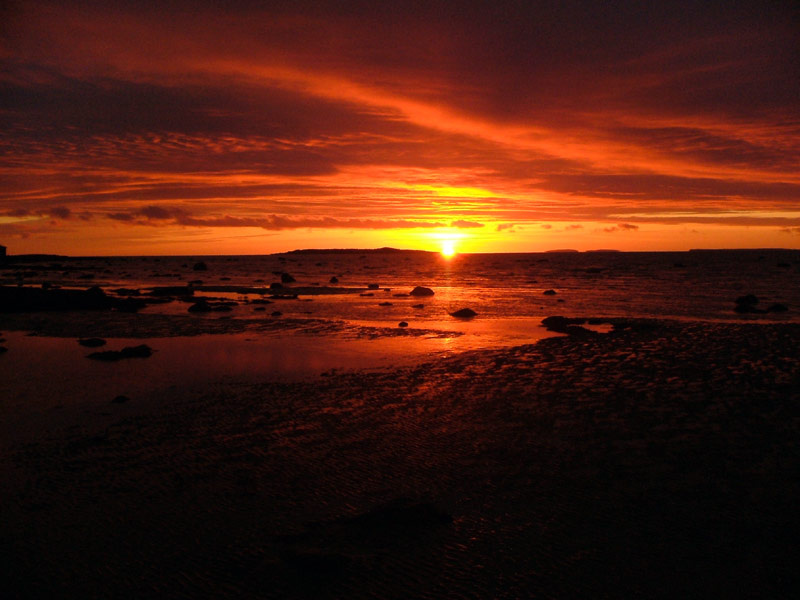 Белое море море