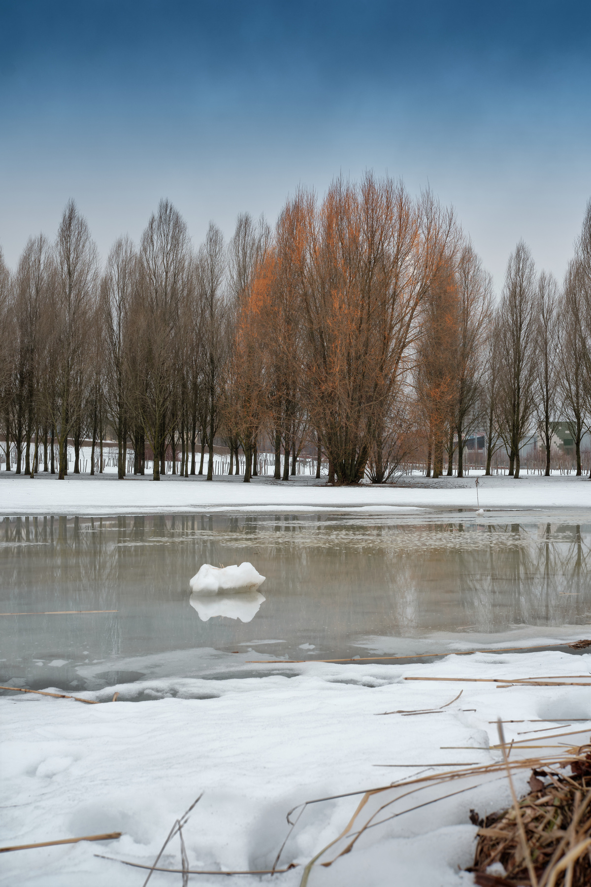 Зимние краски зима дерево река лед снег