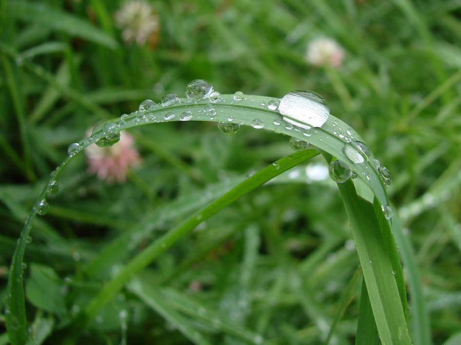 Утро 