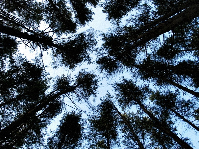 Feeling dizzy 