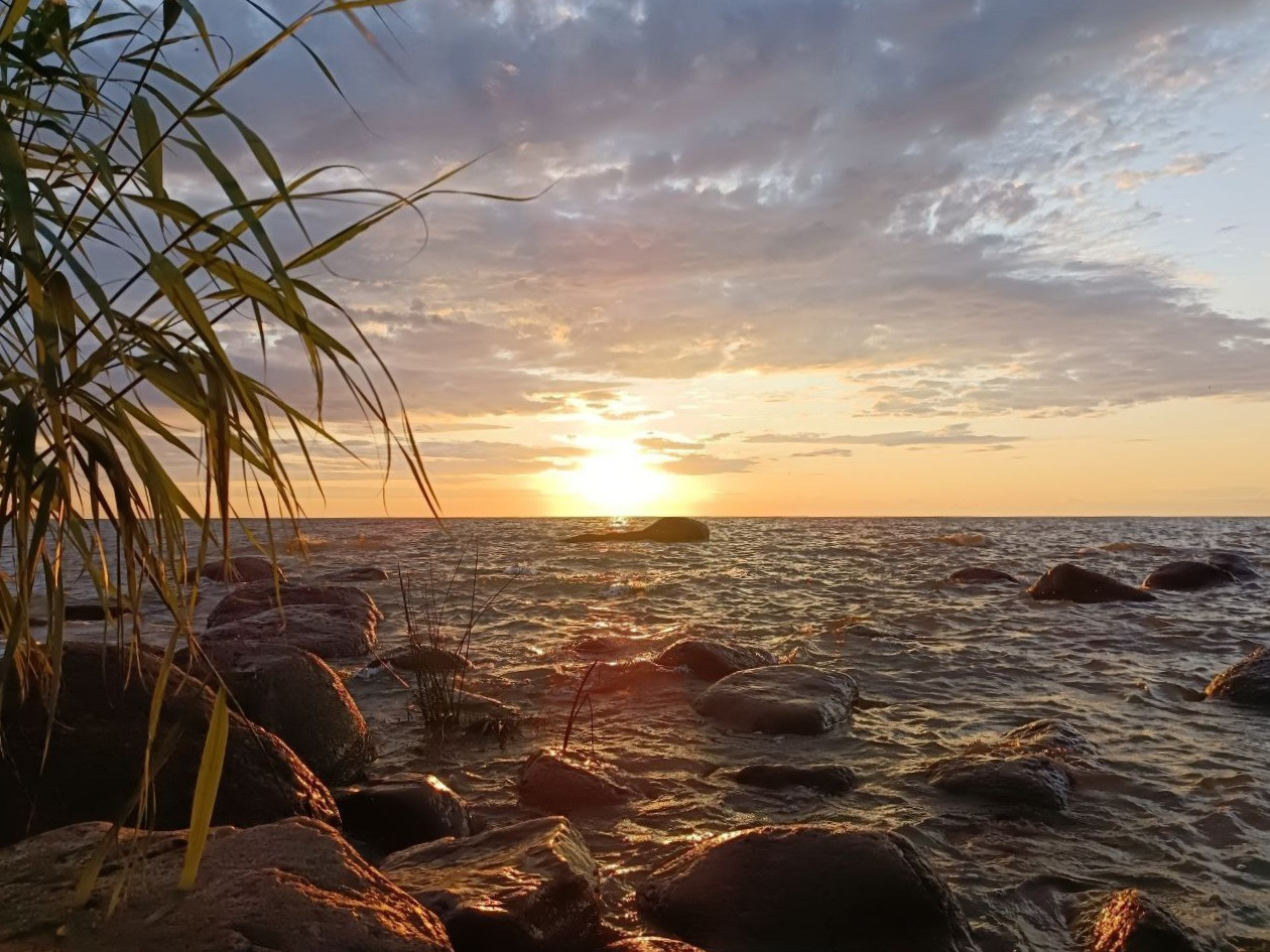 *** лето закат вода финский залив