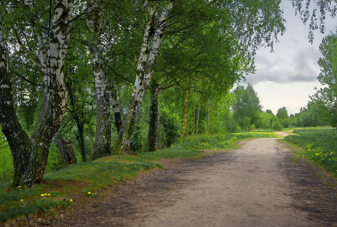 ***Вот и весна наступила. 