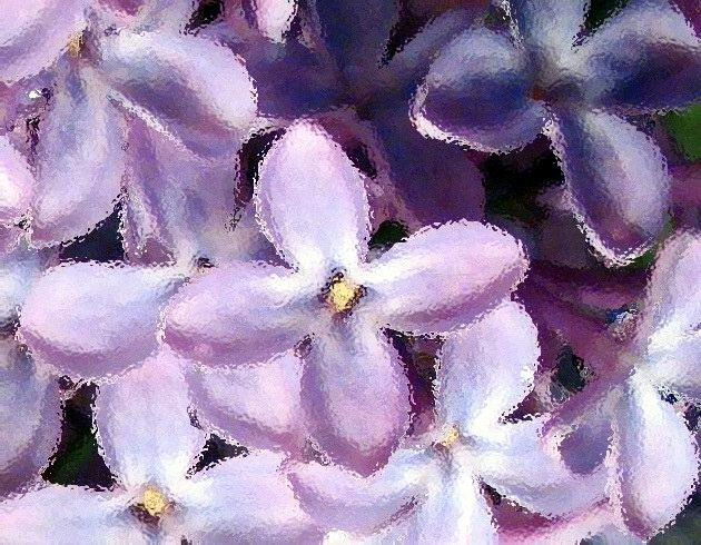 easy color siren сирень приятно аромат фон дурман