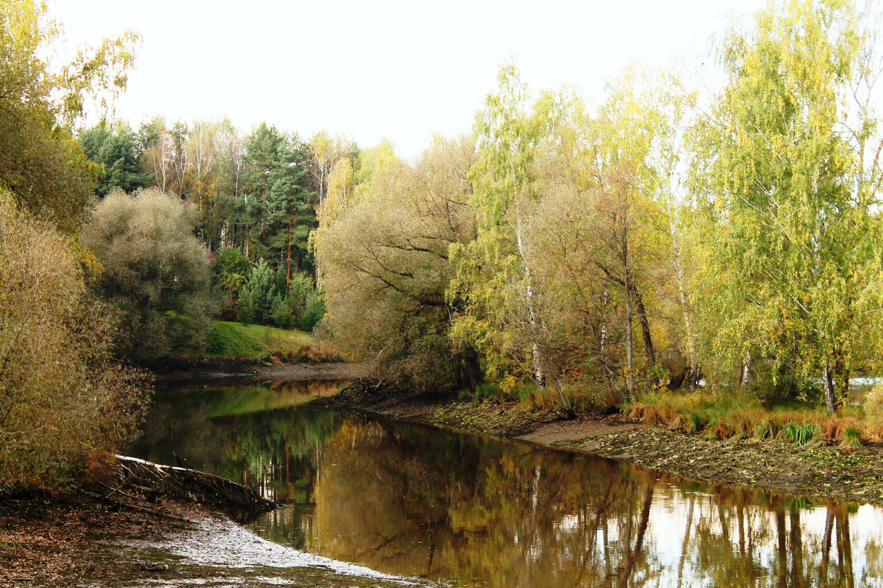 ***над рекой осень,река,деревья,
