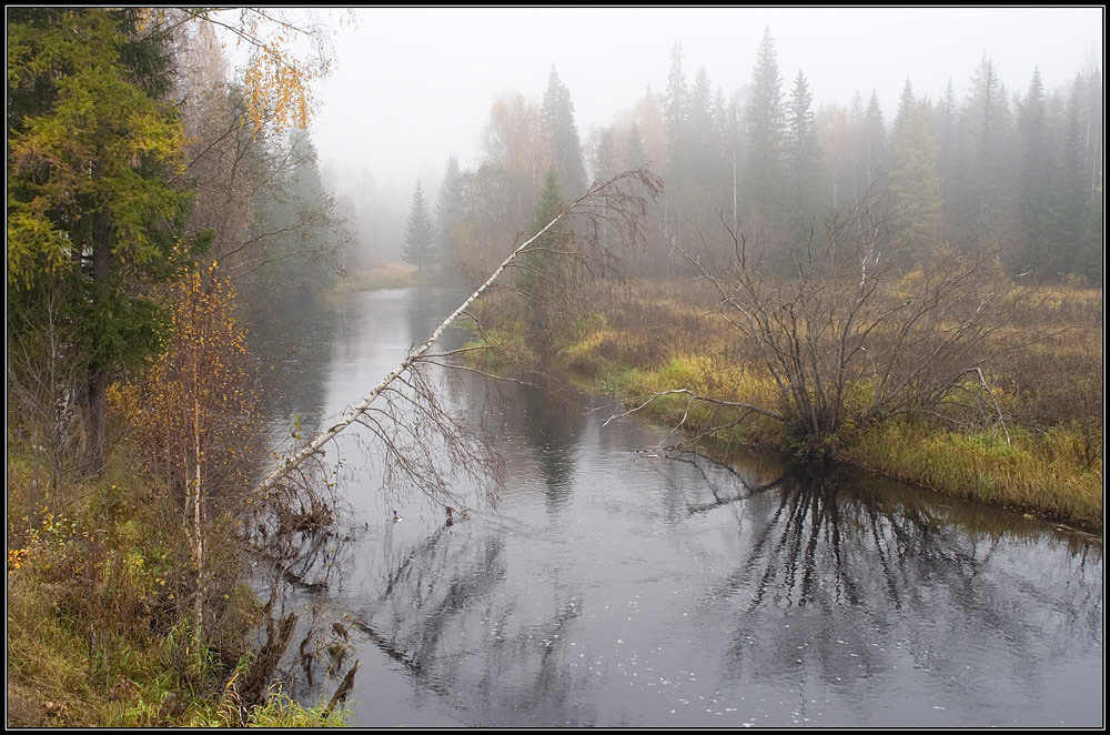 Осенняя грустинка осень,утро,туман,речка,лес