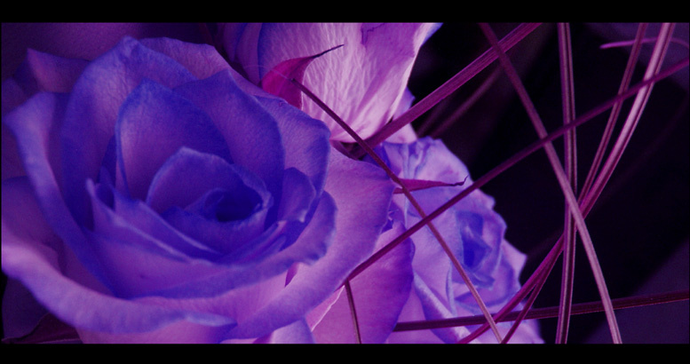 just cant find the words to tell U how I feel... no words just senses
