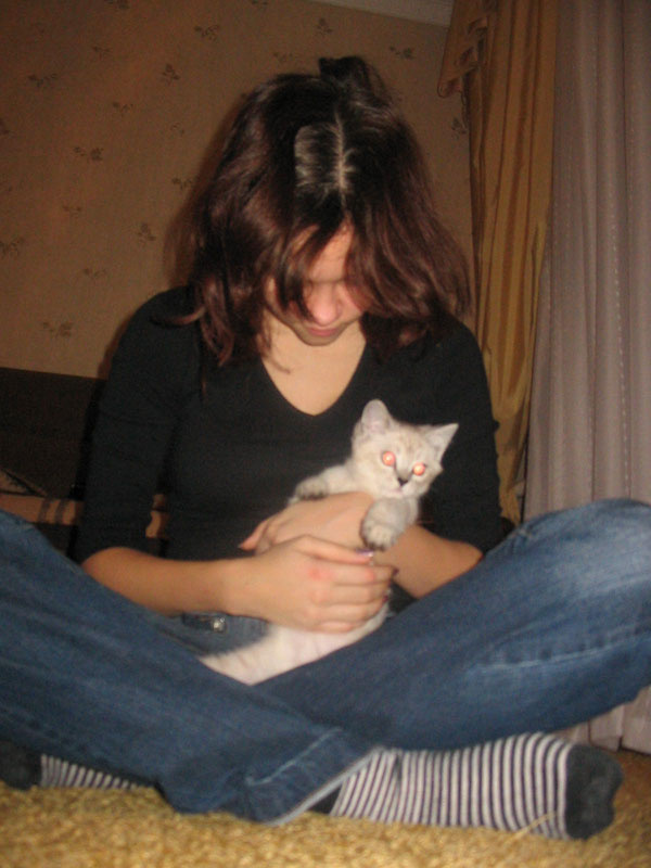 Мой любимый котик! Девушка кот дом красивая
