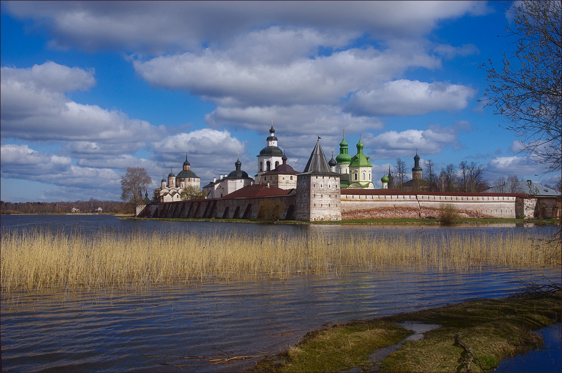 Кириллов майский. Кириллов