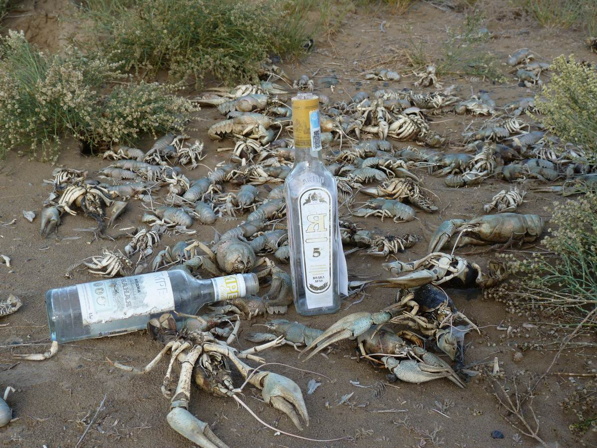 Столько пить нельзя!? раки, водка