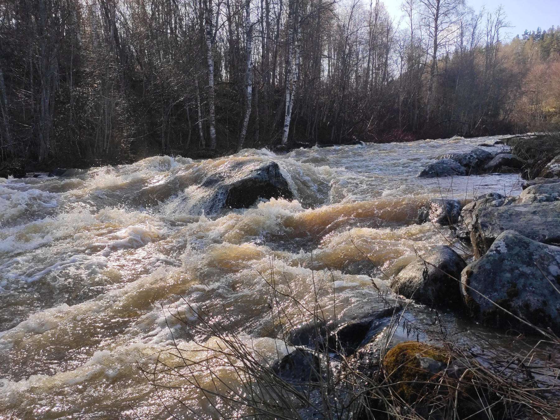 *** вода карелия
