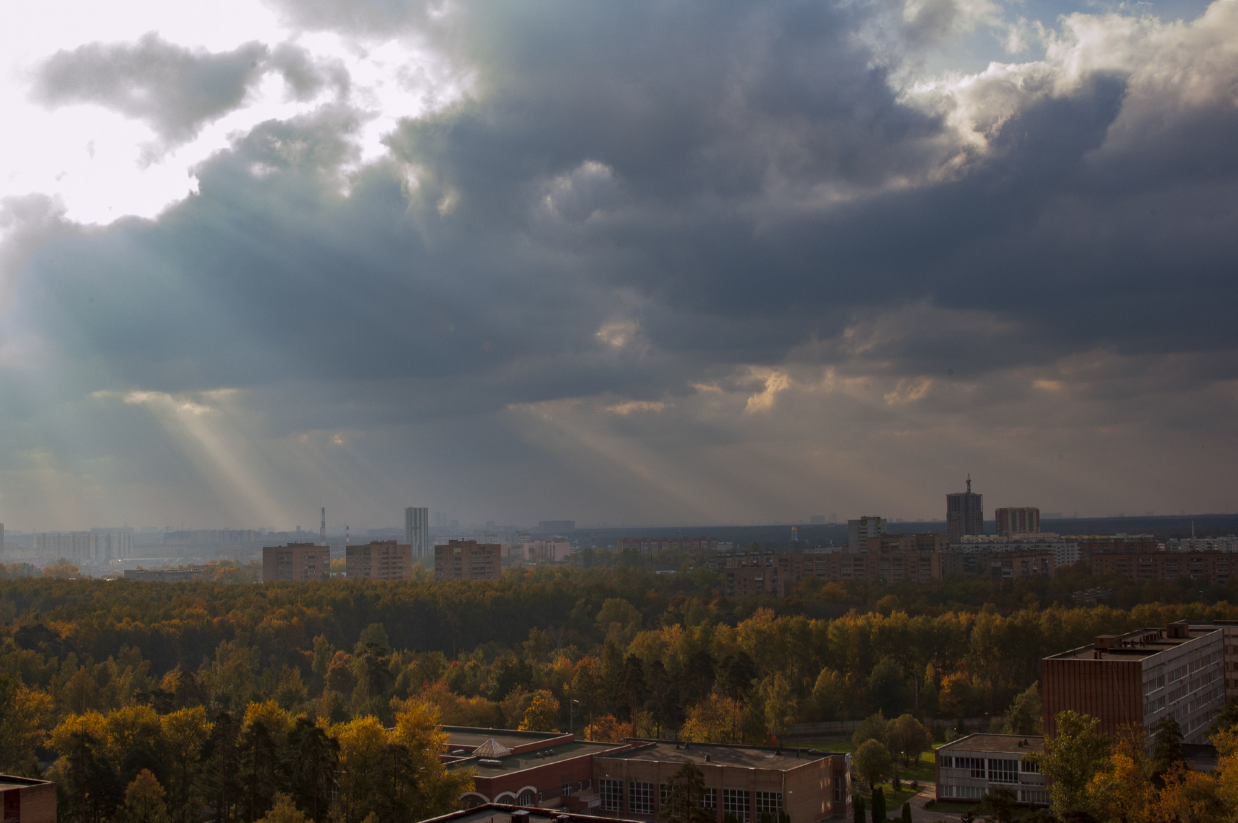 Лучи Солнце лучи деревья