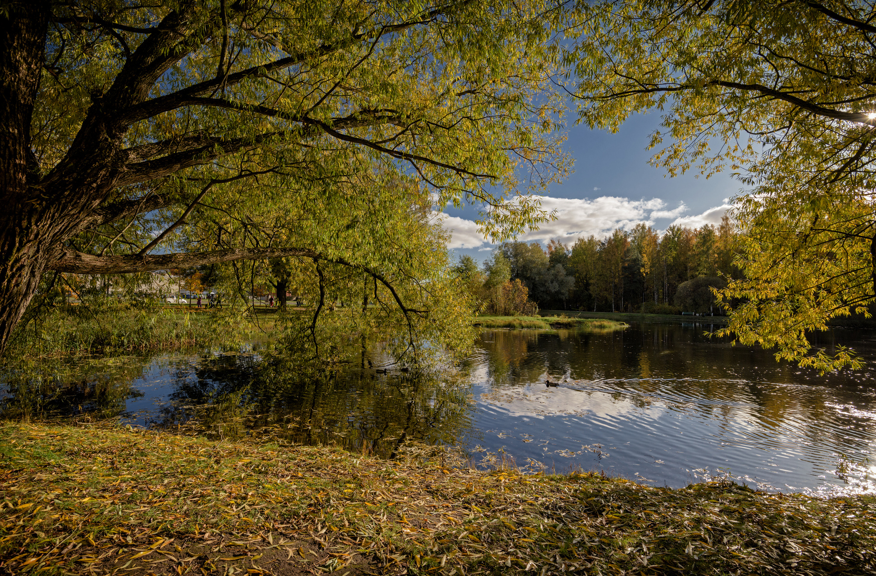 *** СПб парк осень