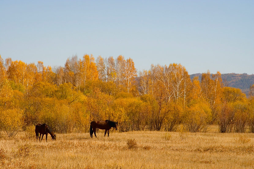 Осенняя 