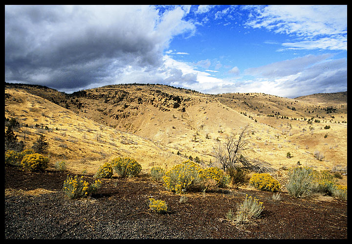 Oregon. Road 216. Yellow\'n\'blue Орегон США Осень