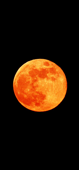 moonrise in red луна красный