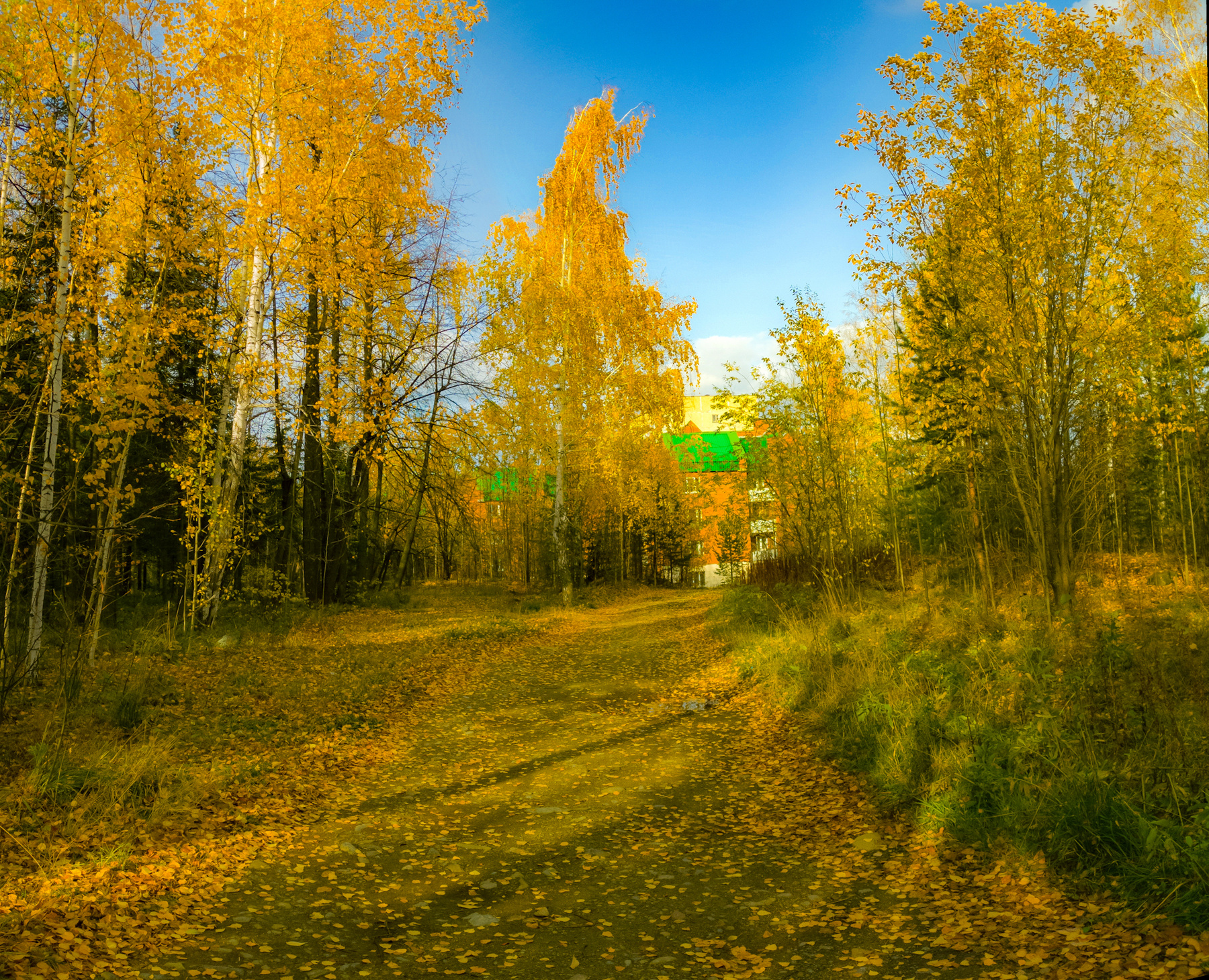 В городе осень 