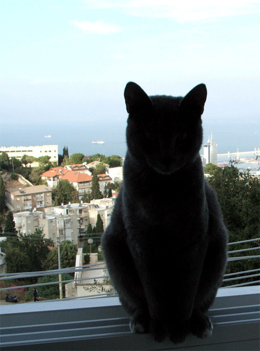 Sphinks (tipa ;)) 