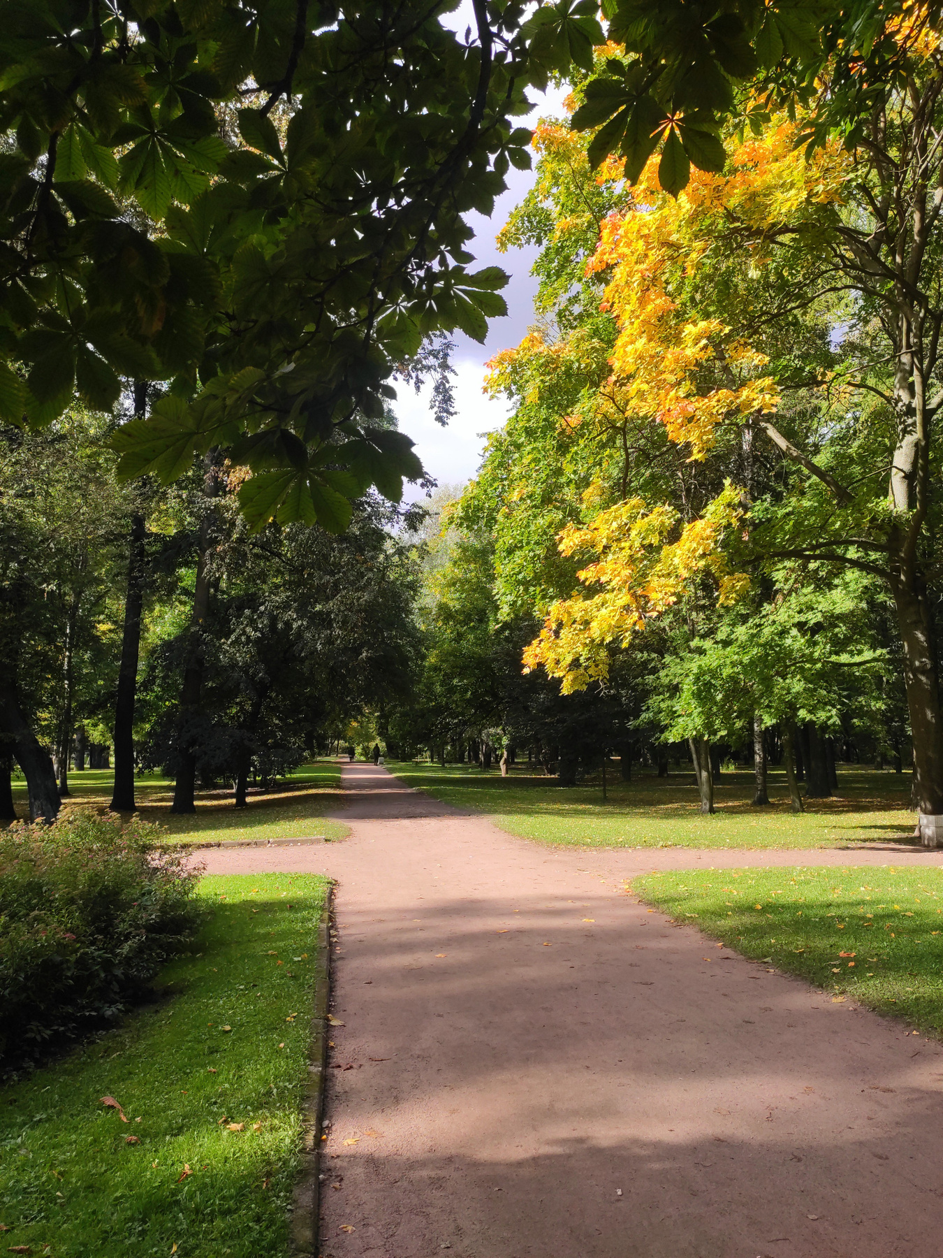дорожка к осени Петербург осень парк