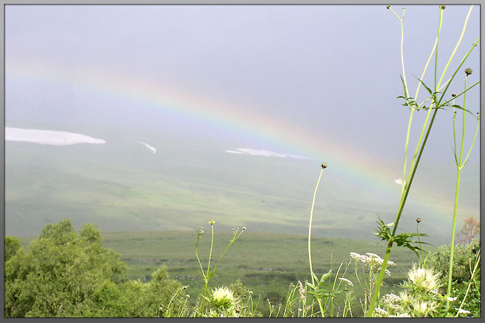 rainbow радуга природа