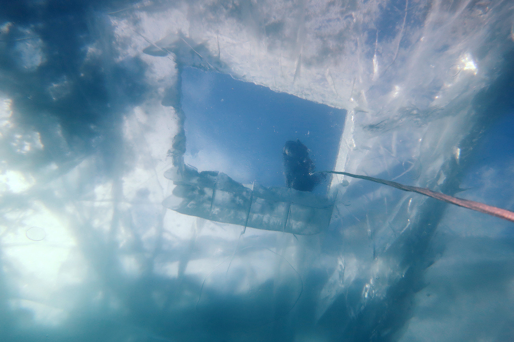 Окно в другой мир природа, красота, дайвинг, Байкал, экология