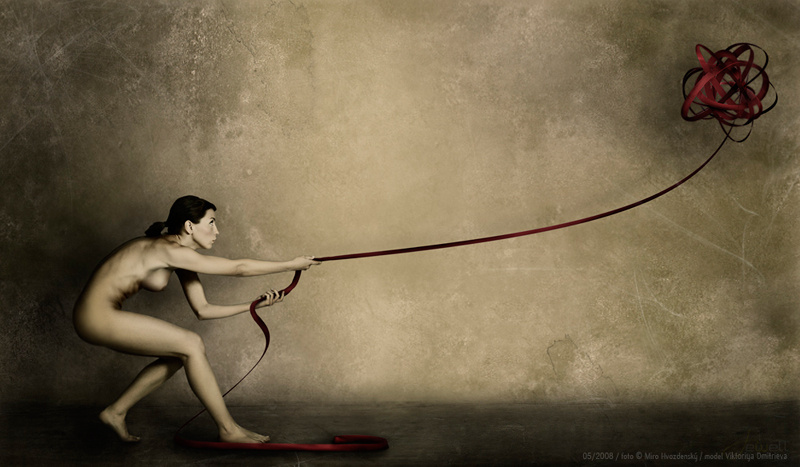 Vikki Series Miro Hvozdensky vikencia