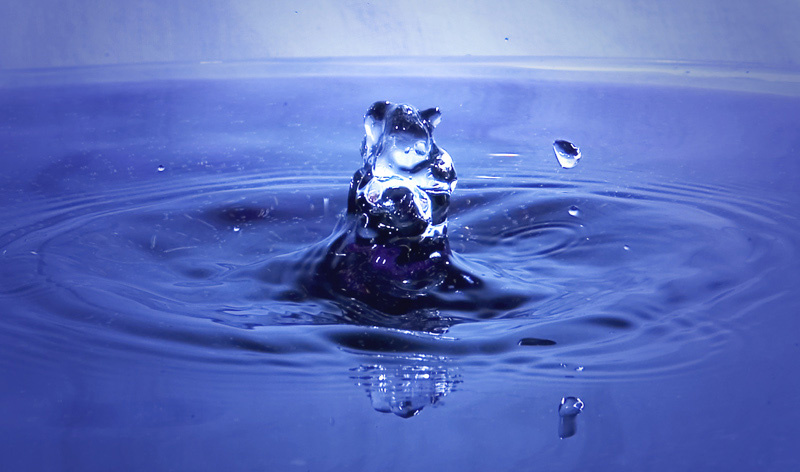 Я водяной. Вода, капли, макро