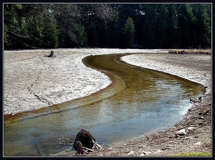 A perfect example of a meandering  stream in fine alluvium ( по-русски: Ручеёк)  вот новый поворот