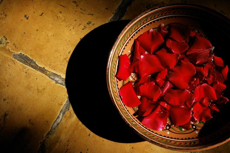 roses лепестки, розы