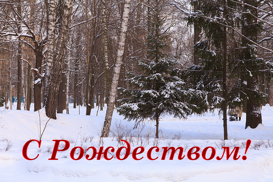 С Рождеством! 