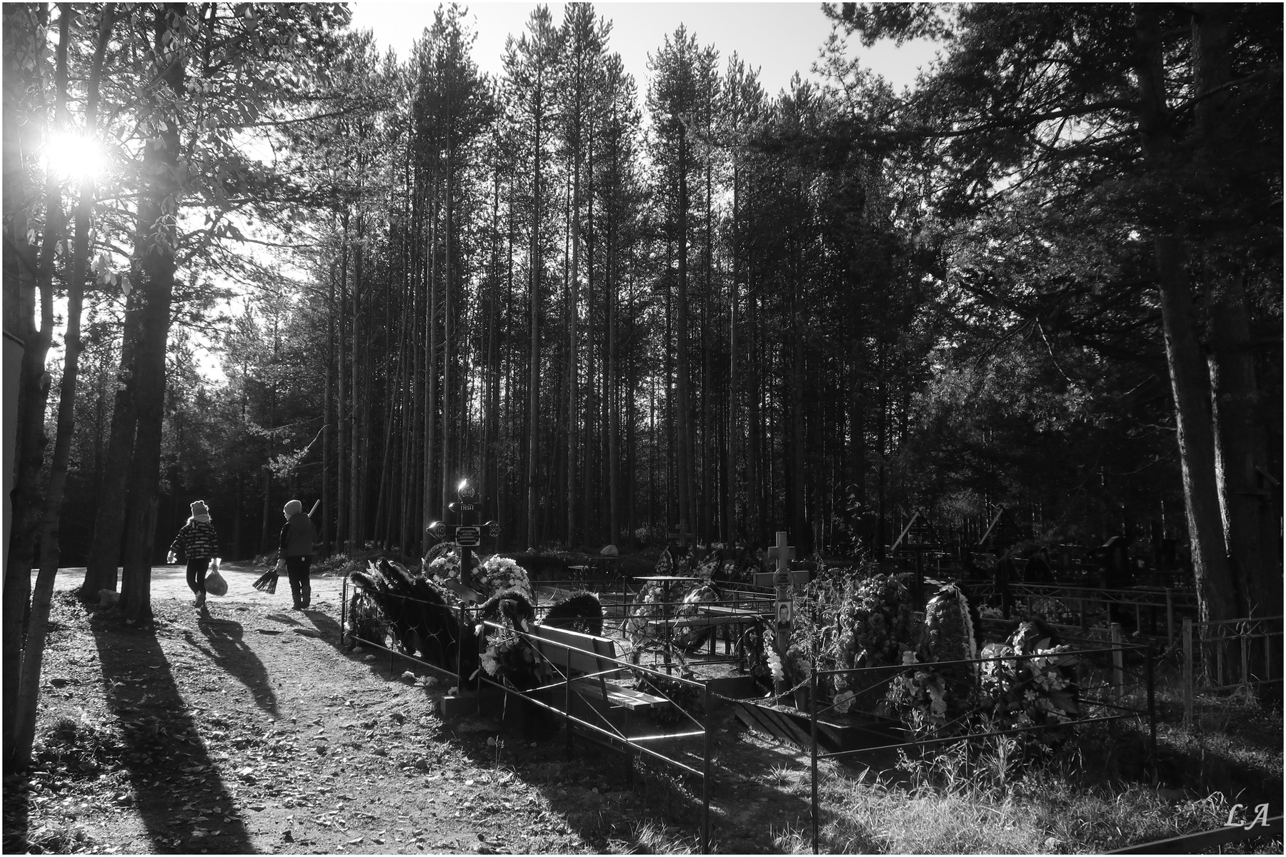Солнечный день на кладбище ТворческийСоюз Снежный Лев Фототренер Александр Мамакин Фотография Путешествие Lihgra Advenyture фото Светланы Мамакиной учитель Фотошопа Степан Расфокус Россия Мурманская область Кандалакша кладбище осень октябрь